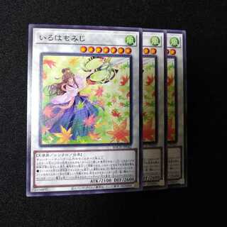 いろはもみじ ノーマル