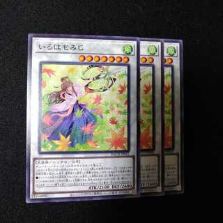 いろはもみじ ノーマル