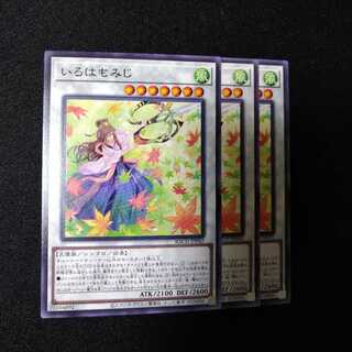 いろはもみじ ノーマル