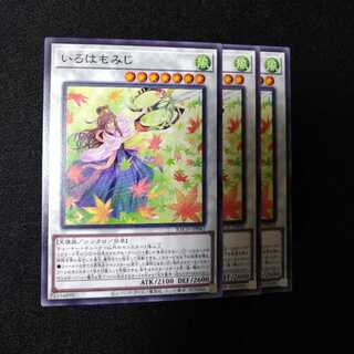 いろはもみじ ノーマル