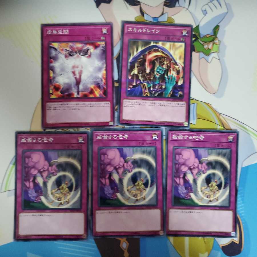 威嚇する咆哮 3枚 等