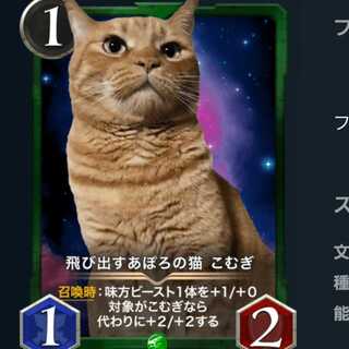 ２枚　飛び出すあぽろの猫　こむぎ