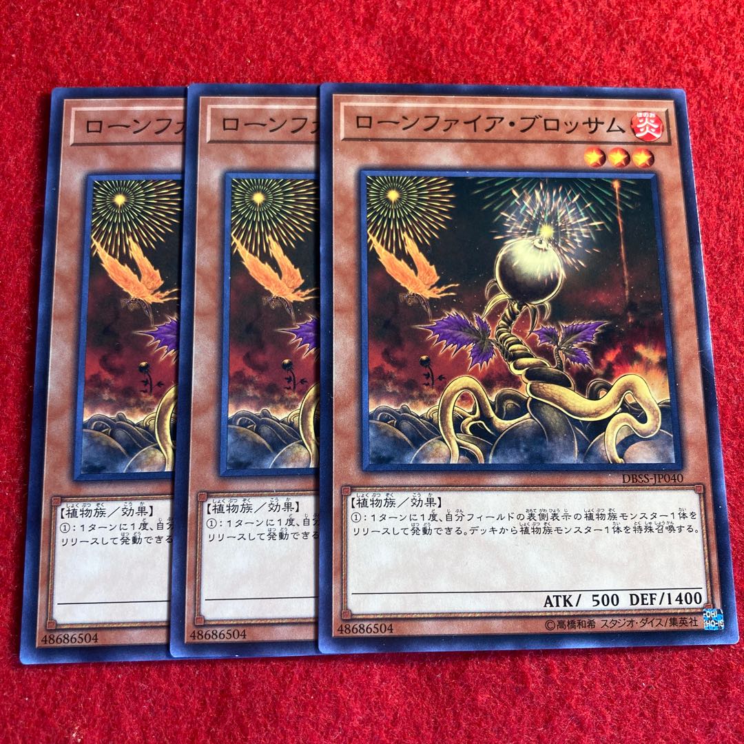 ローンファイア・ブロッサム☆3563