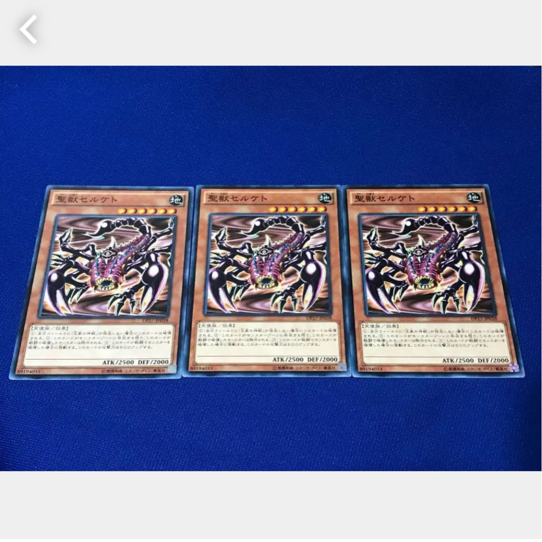 【ぽぽたん】遊戯王 聖獣セルケト 3枚 ノーマル