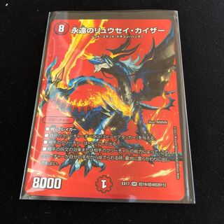 Eternal Ryusei Kaiser