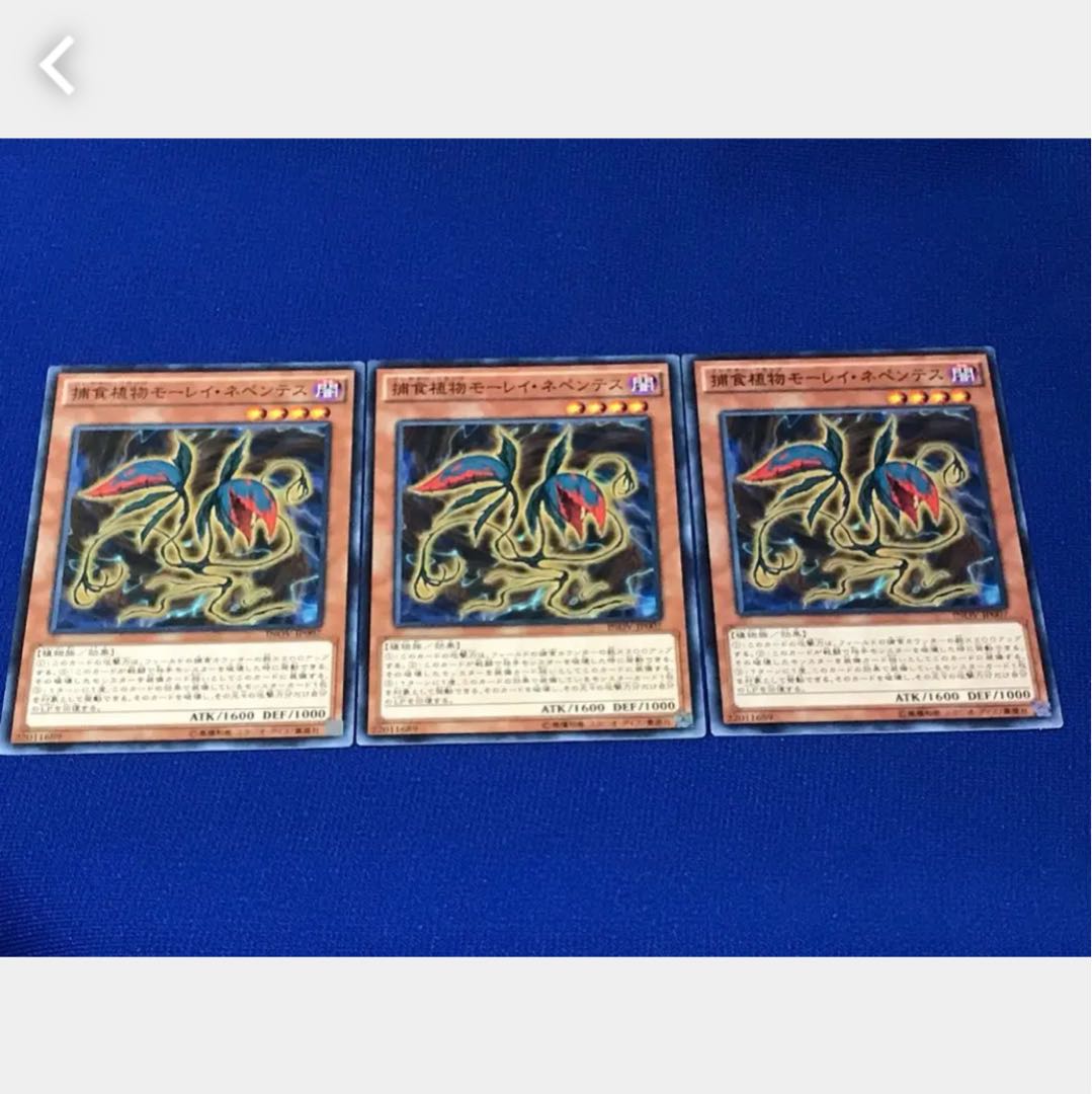 【ぽぽたん】遊戯王 捕食植物モーレイ・ネペンテス 3枚 ノーマル