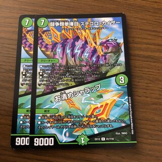 闘争類拳嘩目 ステゴロ・カイザー｜お清めシャラップ