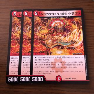 シンカゲリュウ・柳生・ドラゴン