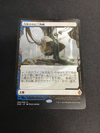 汚染された三角州　ZNE