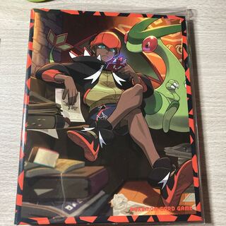 【パッケージ未開封未使用】キバナの不屈　カードファイルのみ