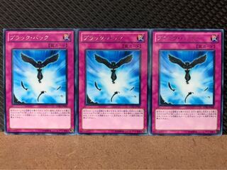 【ぽぽたん】遊戯王 8003 ブラック・バック 3枚 レア
