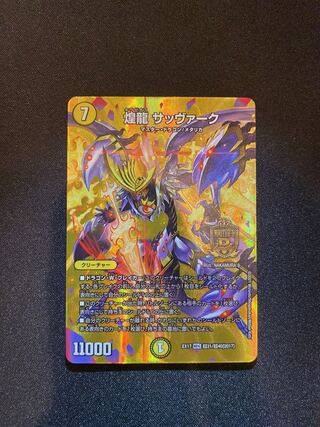 煌龍 サッヴァーク