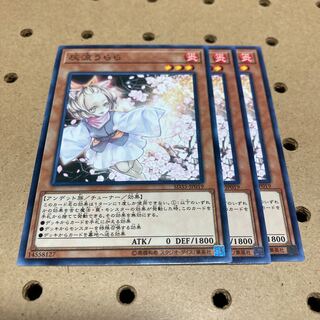 灰流うらら ノーマル 3枚