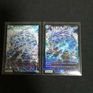 水上第九院 シャコガイル 2枚