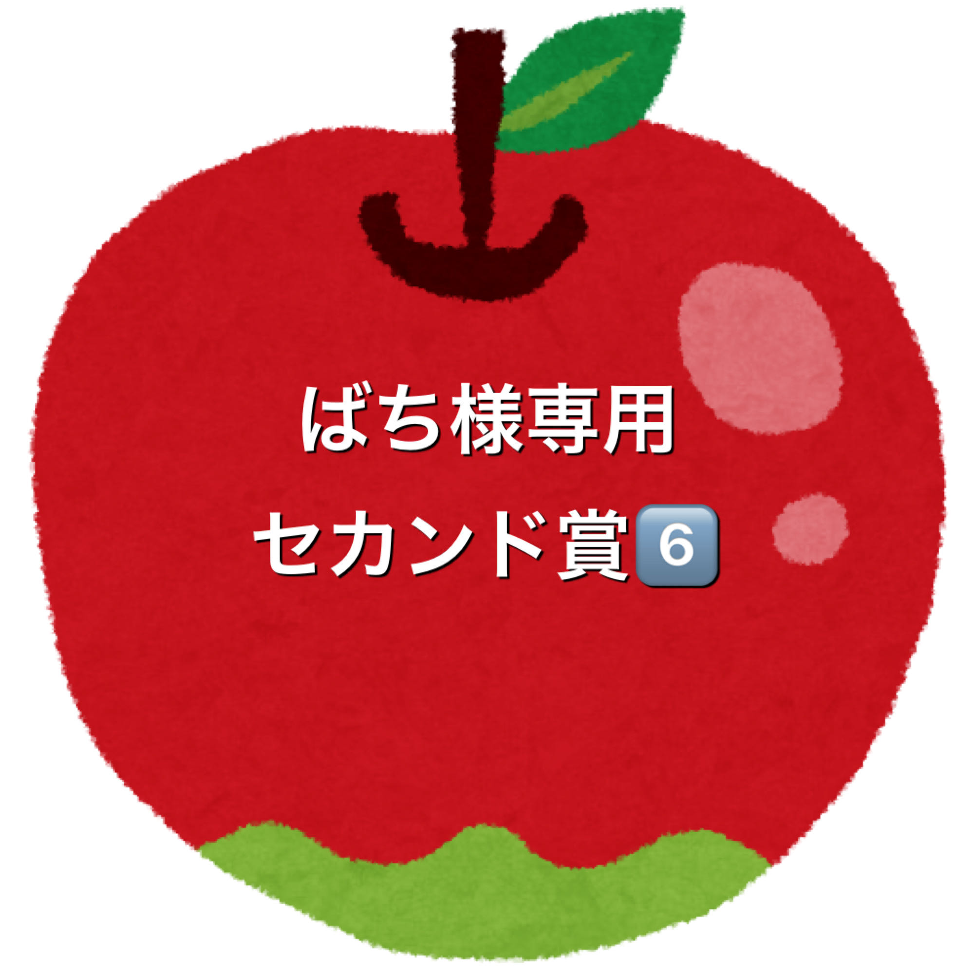 ばち様専用5口セカンド賞⑥