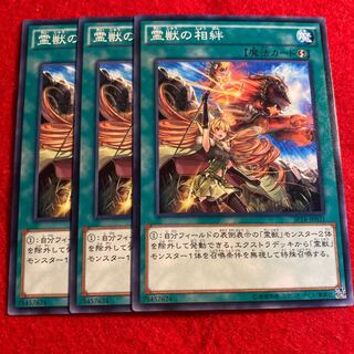 霊獣の相絆☆3578