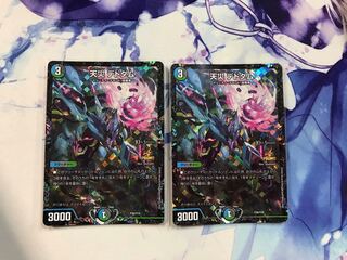 天災 デドダム 即日発送