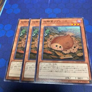 枯鰈葉リプレース ノーマル