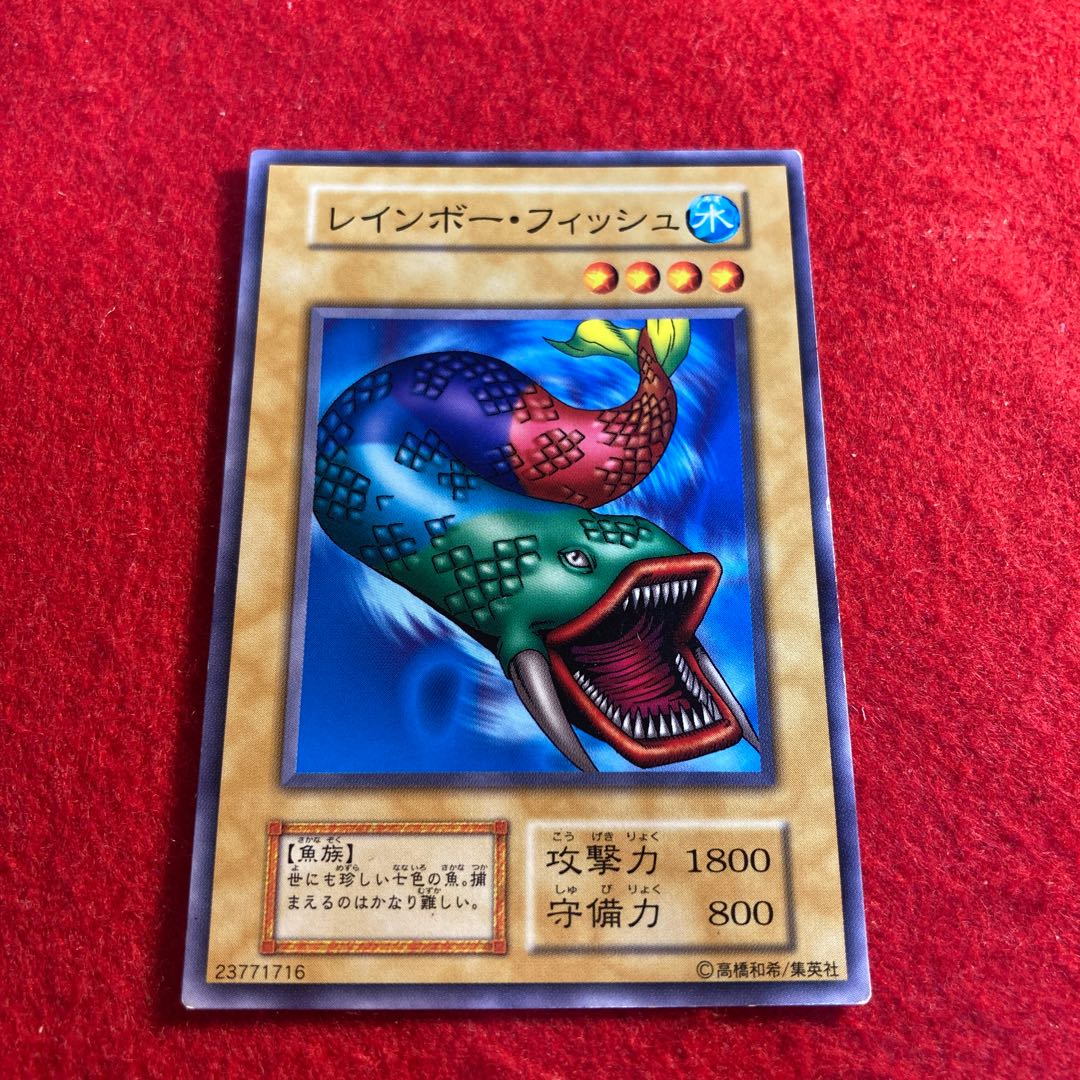 7 Colored Fish☆3598