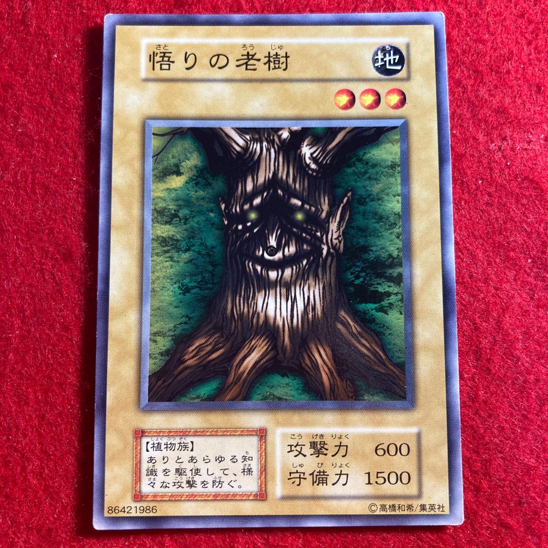 Old Tree of Enlightenment 3600