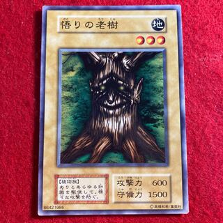 悟りの老樹☆3600