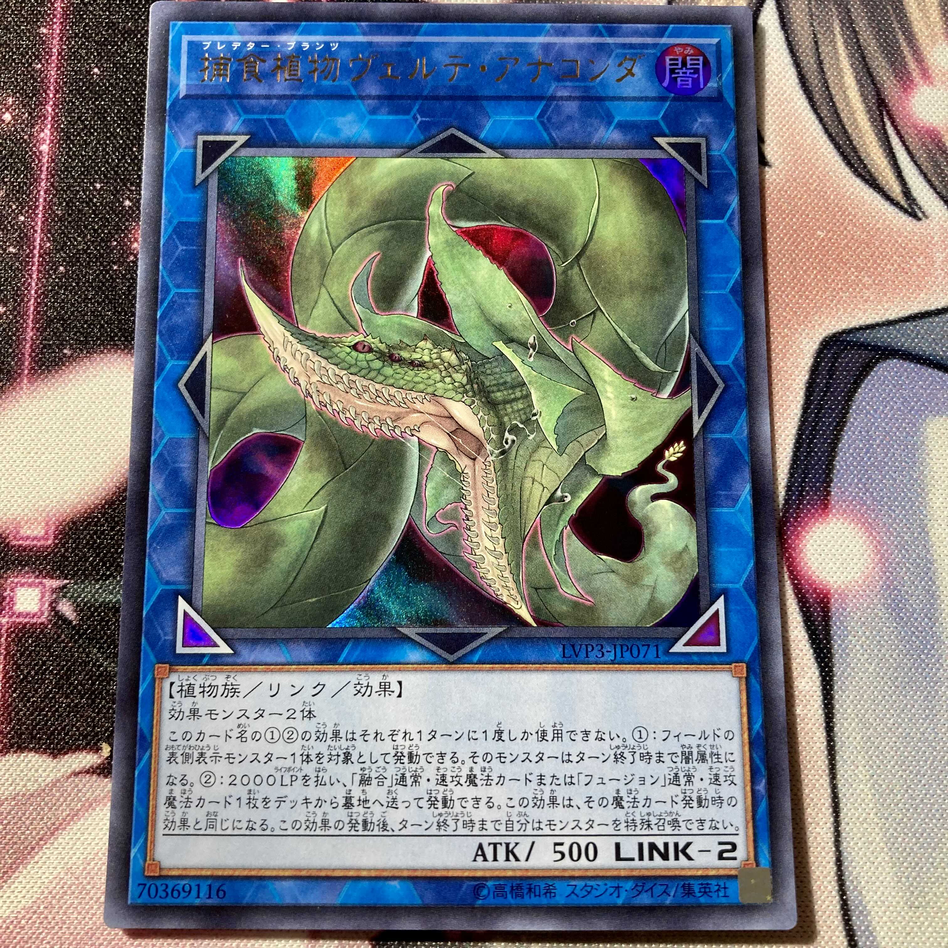 捕食植物ヴェルテ・アナコンダ ウルトラレア