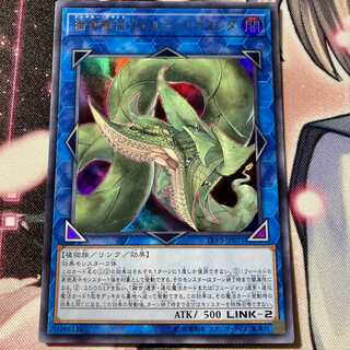 捕食植物ヴェルテ・アナコンダ ウルトラレア