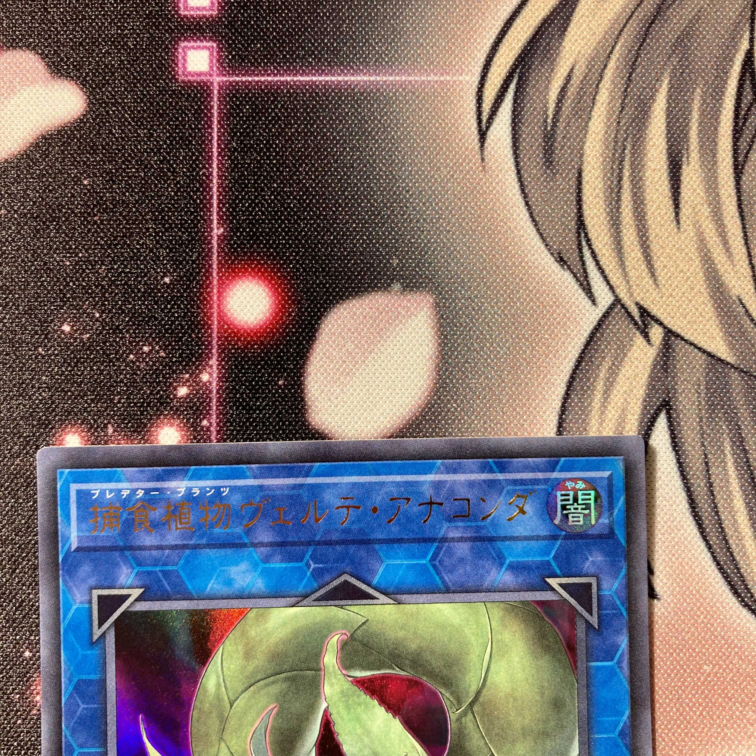 捕食植物ヴェルテ・アナコンダ ウルトラレア