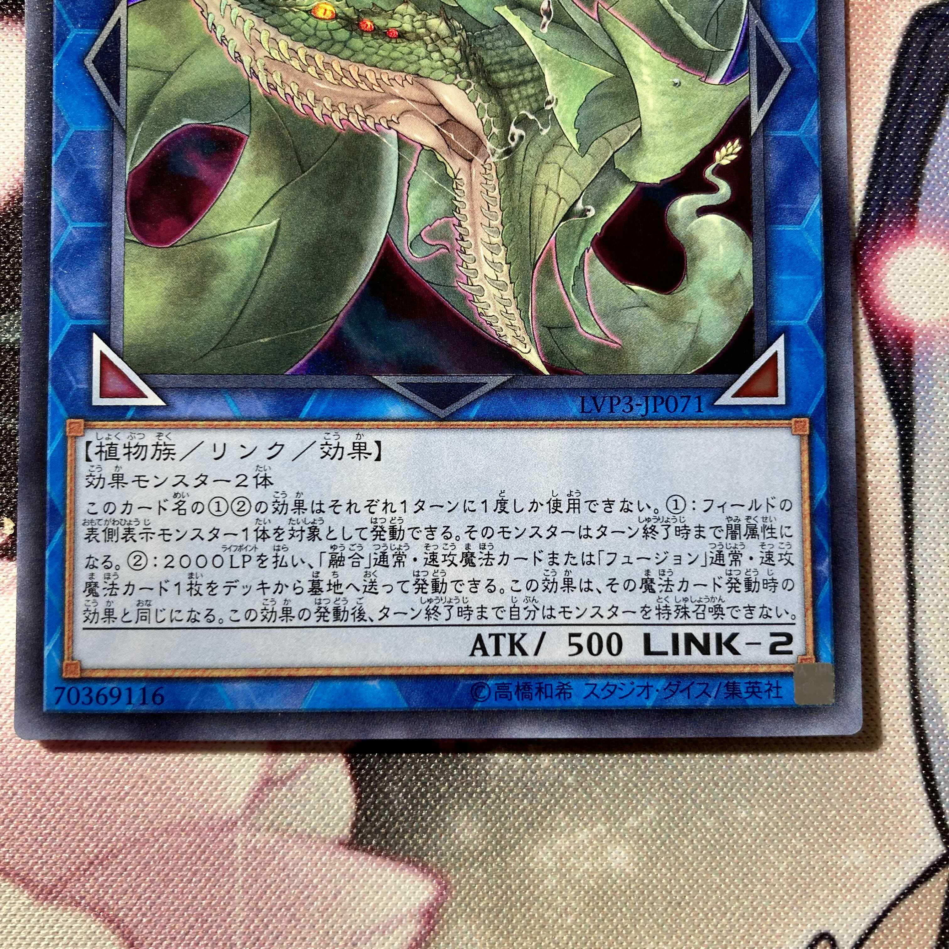 捕食植物ヴェルテ・アナコンダ ウルトラレア