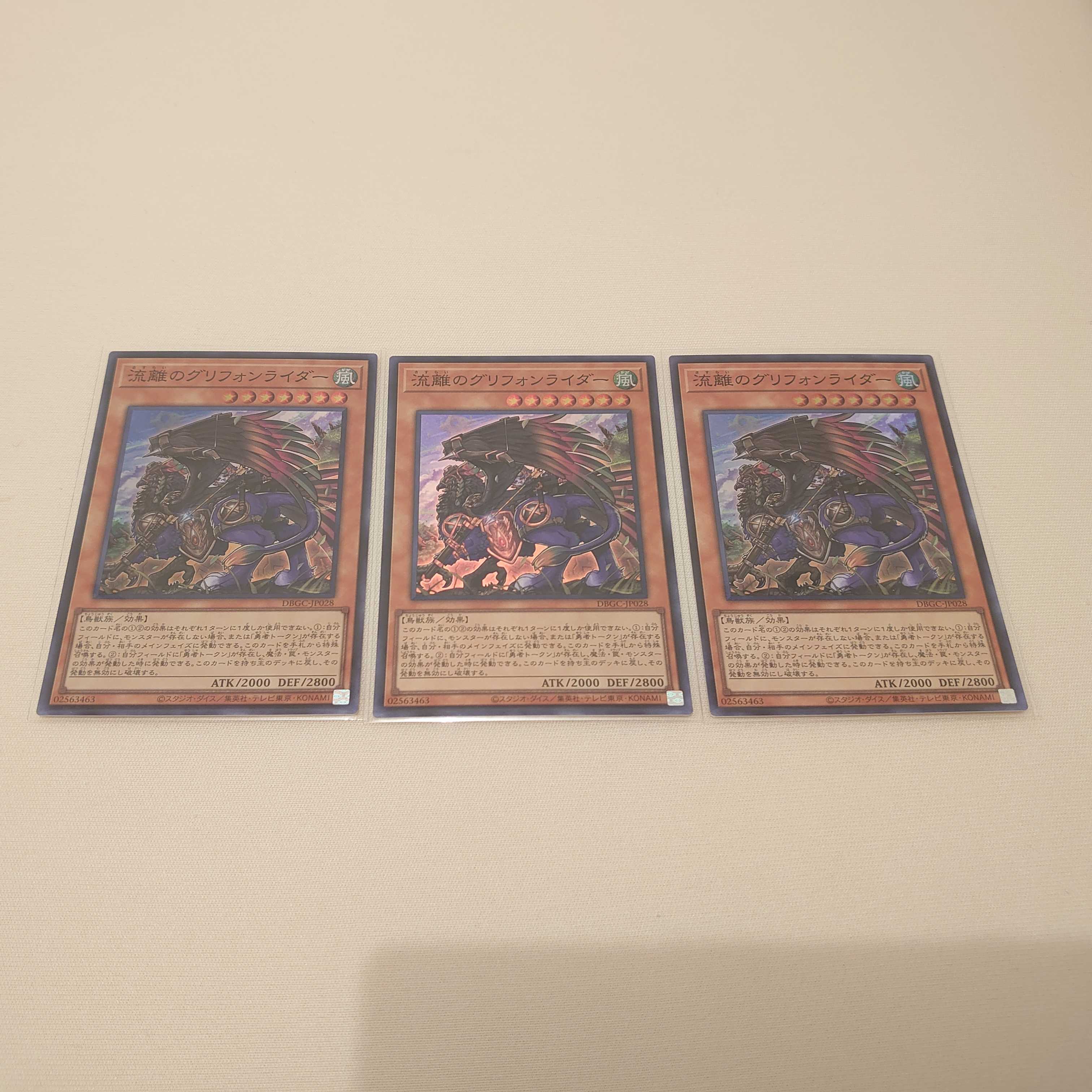 流離のグリフォンライダー