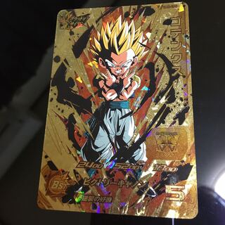 ゴテンクス●UM5-CP5