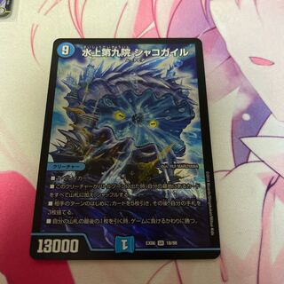 水上第九院 シャコガイル 2枚