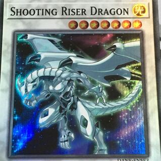 シューティング ライザー ドラゴン 英語版 EU版 DANE