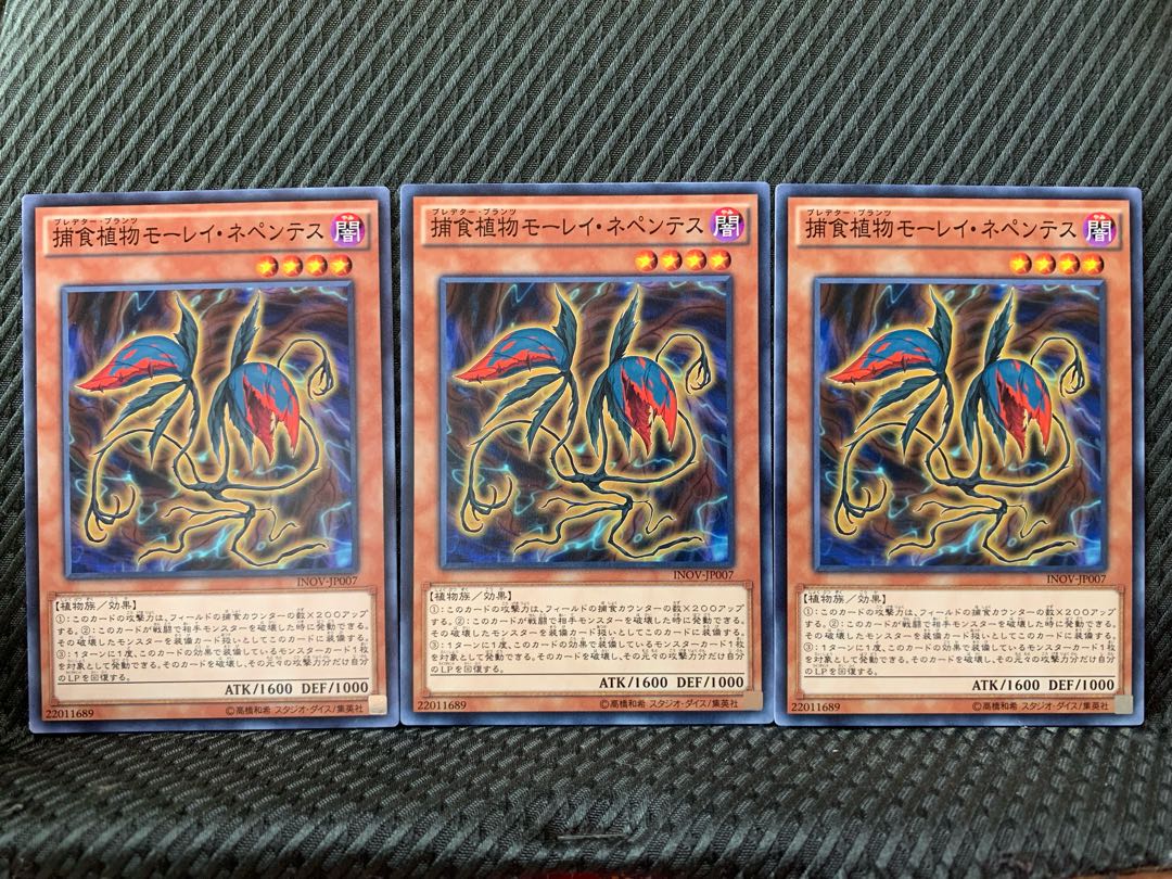 【ぽぽたん】遊戯王 3447 捕食植物モーレイ・ネペンテス 3枚 ノーマル
