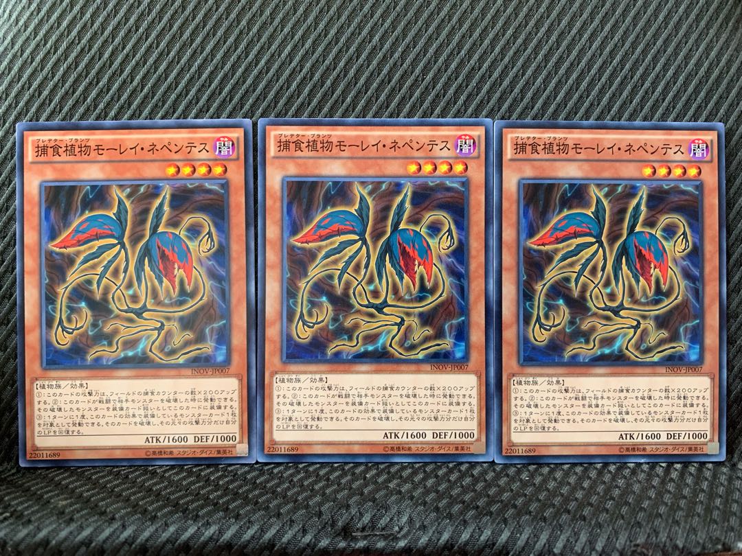 【ぽぽたん】遊戯王 5818 捕食植物モーレイ・ネペンテス 3枚 ノーマル