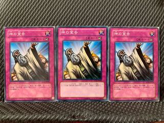 【ぽぽたん】遊戯王 4084 神の宣告 3枚 ノーマル