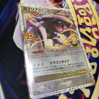 ガブリアスC LV.X   25th