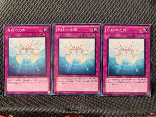 【ぽぽたん】遊戯王 2628 奇跡の光臨 3枚 ノーマル