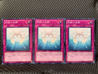 【ぽぽたん】遊戯王 8968 奇跡の光臨 3枚 ノーマル