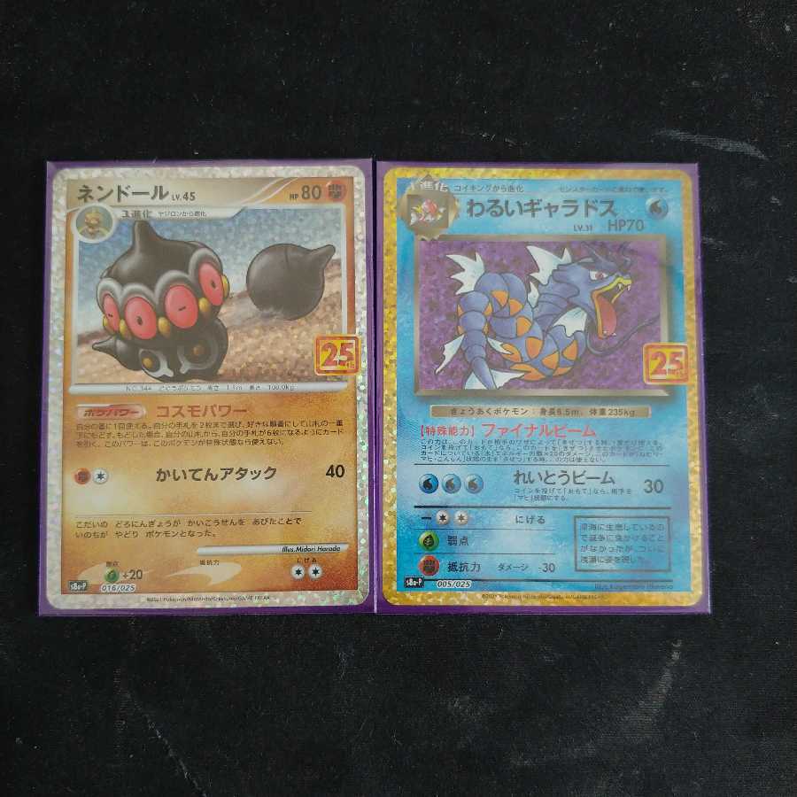 わるいギャラドス　ネンドール　25th