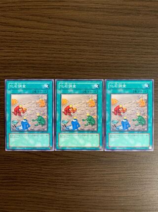 化石調査 ノーマル　3枚セット