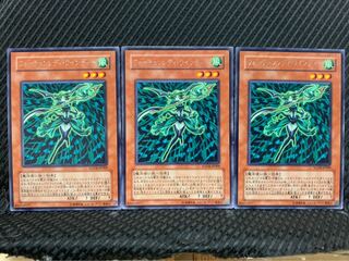 【ぽぽたん】遊戯王 1678 フォーチュンレディ・ウインディー 3枚 レア