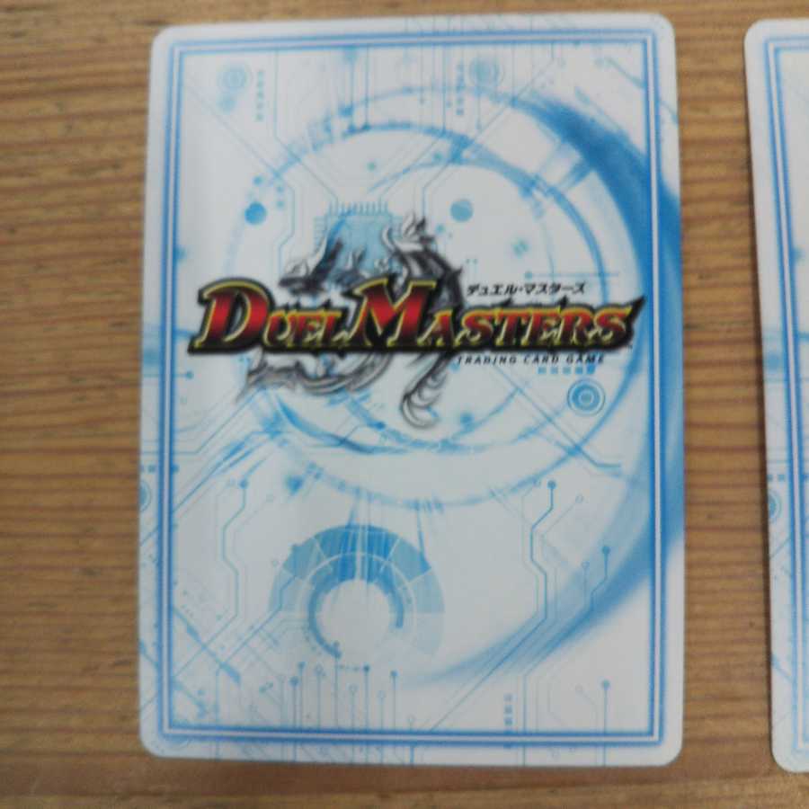 "Demon's Roar" brand 2-piece set