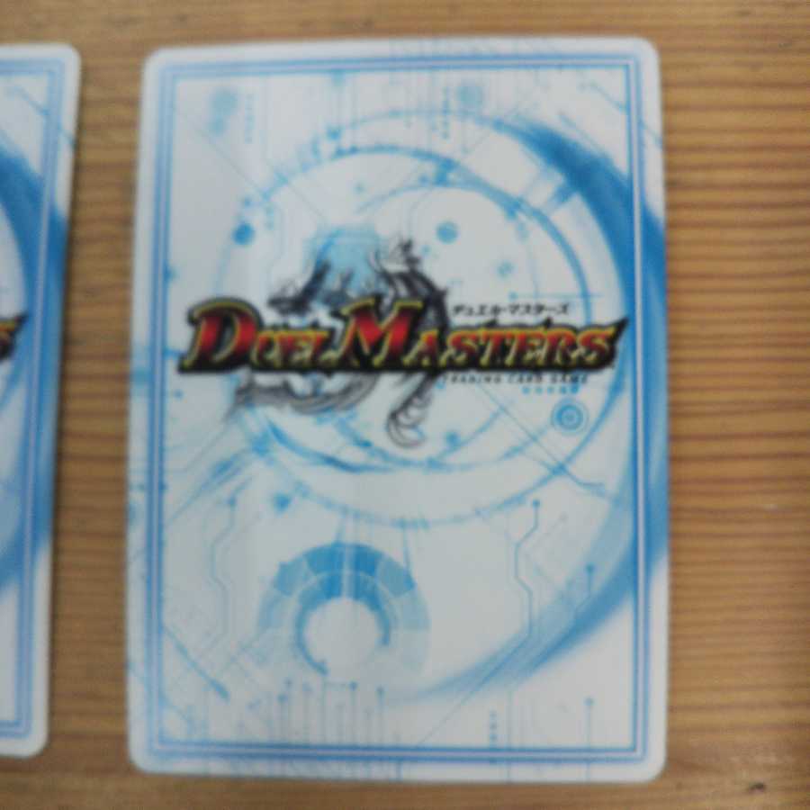 "Demon's Roar" brand 2-piece set