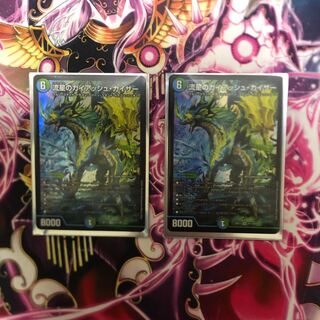 流星のガイアッシュ・カイザー2枚