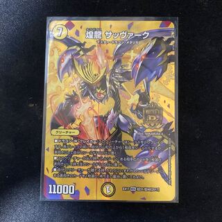 煌龍 サッヴァーク