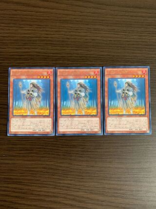 不知火の隠者 レア　3枚セット