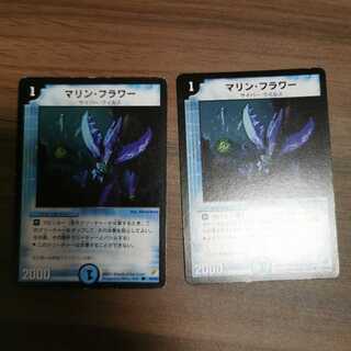 Initial picture] Marine Flower 2 pieces (set purchase)