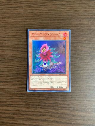 グローアップ・ブルーム スーパーレア