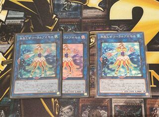 海晶乙女コーラルアネモネ スーパーレア